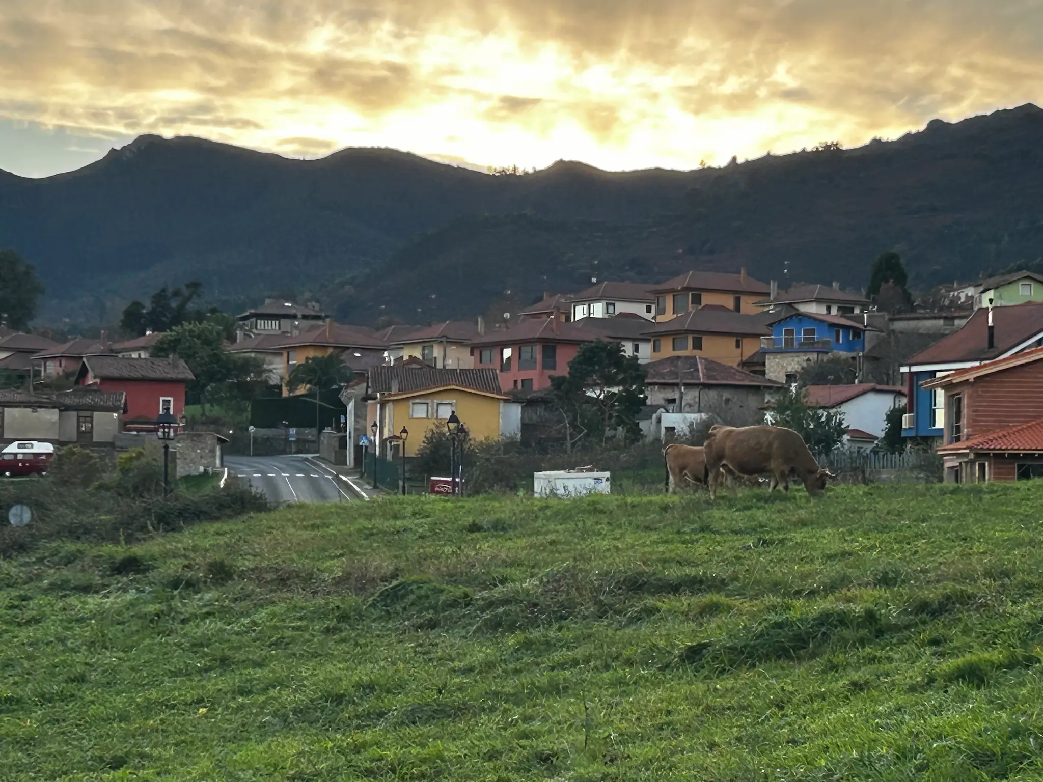 Vacas pastando en un prado frente a casas de colores y montañas al amanecer en Duesos Asturias
