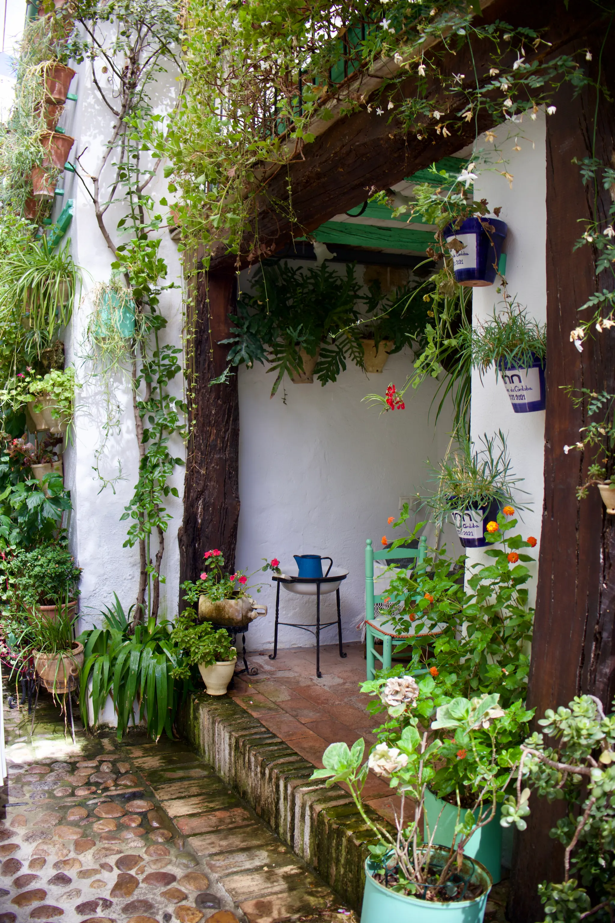 Rincón florido en un patio tradicional de Córdoba, con macetas, silla verde y una jarra azul entre plantas.